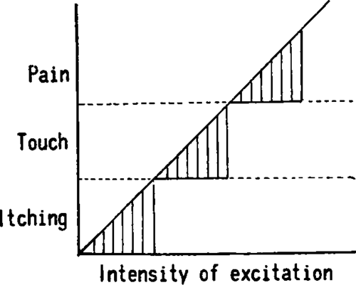 Similar to pain, itching represents a special kind of sensation