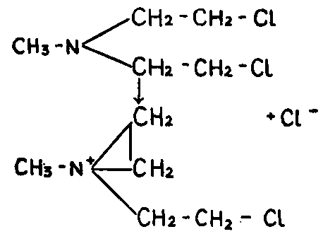The changes occurring in the nitrogen mustard