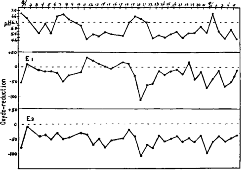The curve of the oxidoreduction potential of the urine measured electrically