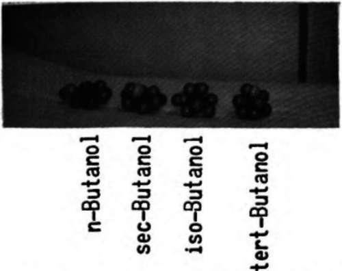 The differences between the round shape of tertiary butanol and the longer form of the other isomers is evident with models of molecules