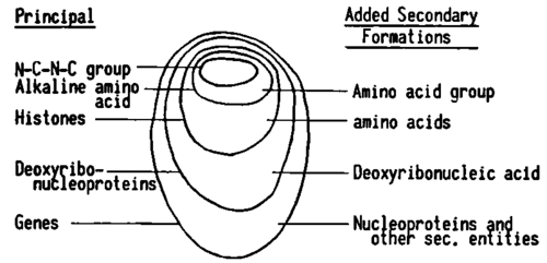 The organization of the submorphological entities of the biological realm