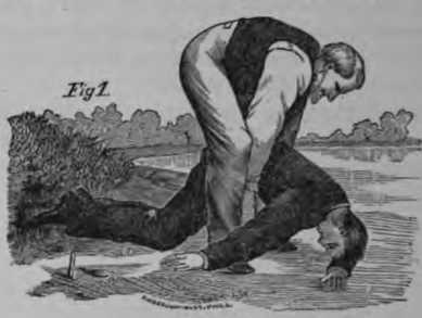 Fig. 381. Treatment of the Drowned.