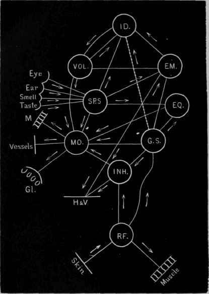 Some Points In The Physiology And Psychology Of Hy 2