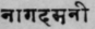 A Glossary Of Indian Plants Mentioned In Sanskrit  1183