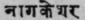 A Glossary Of Indian Plants Mentioned In Sanskrit  1184
