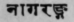 A Glossary Of Indian Plants Mentioned In Sanskrit  1187