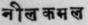 A Glossary Of Indian Plants Mentioned In Sanskrit  1200