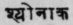 A Glossary Of Indian Plants Mentioned In Sanskrit  1337