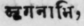 Mriganάbhi