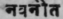 Navanita