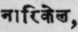 Ndrikela