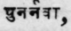 Punarnava