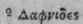 Laurus Cinnamon Part 6 225