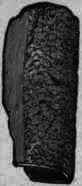 Fig. 217. Angustura bark: one half natural size.