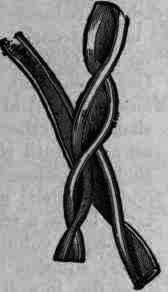 Fig. 260. Gossypium herbaceum: cotton fibre, magnified 250 diam.