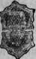 Fig. 284. Carum: fruit and longitudinal section, 3 diam.; transverse section, 8 diam.