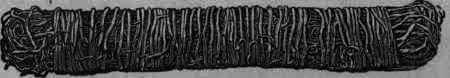 Fig. 53. Honduras sarsaparilla.