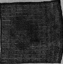 Fig. 82. Willow bark: transverse section, magnified 15 diam.