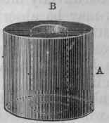Fig. 7. Diagrammatic representation of the body