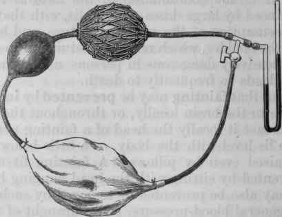 Fig. 85.   Simple schema of the circulation, consisting of a spray producer, bladder, and mercurial manometer. The elastic ball represents the heart; the elastic bag, covered with netting to prevent too great distension, represents the aorta and arterial system, and the bladder represents the venous system.