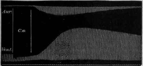 Regulating Action of the Nervous System 159