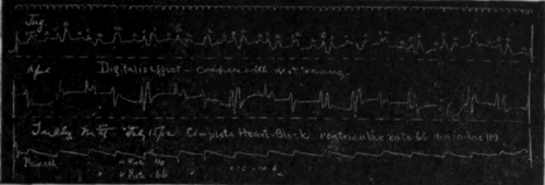 Fig. 15.