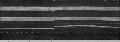 Fig. 27.
