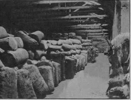 Fig. 12. Bales of drugs in London Docks. (Heap.)