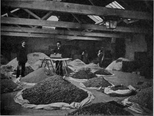 Fig. 13. Working tragacanth. (Heap.)