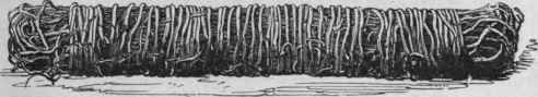 Fig. 208. Bundle of Honduras Sarsaparilla. Reduced. (Pereira.)