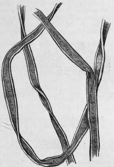 Fig. 231. Cotton. Magnified. (Tschirch.)