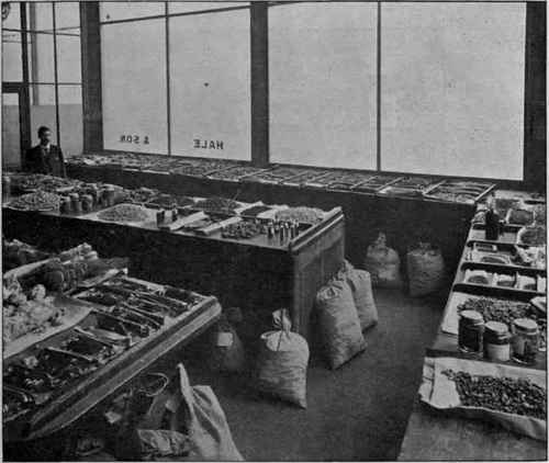 Fig. 9. Sale room of Messrs. Hale & Son. On the centre and window tables various drugs; on the table to the left chiefly bristles; on the floor sample bags of drugs. (Heap.)