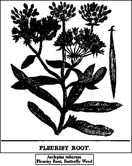 Properties And Uses 7