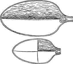 Measures And Weights 12