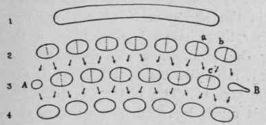 Diagram representing the process of rhythmic segmentation.