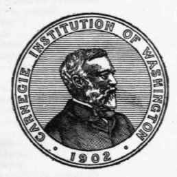 Food Ingestion And Energy Transformations 1