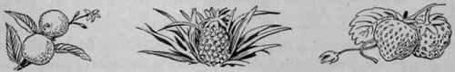 Digestibility Of Fruits After Dr Gilman Thompson 31