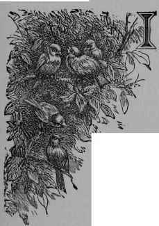 A Dreadful Blow To Vegetarianism III 4