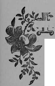 A Dreadful Blow To Vegetarianism IV 5