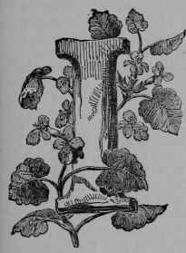 A Dreadful Blow To Vegetarianism Part II 3