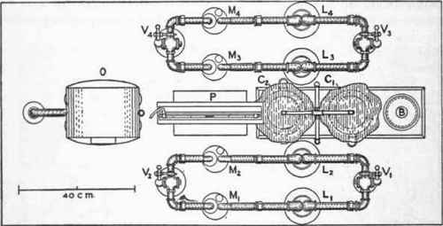 View from above of top of absorption table of group respiration chamber.