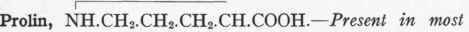 Arginin Nh2 CNHNH CH2CH2CH2 CHNH2 COOH 55