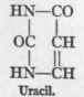 Purin Metabolism Gout 86