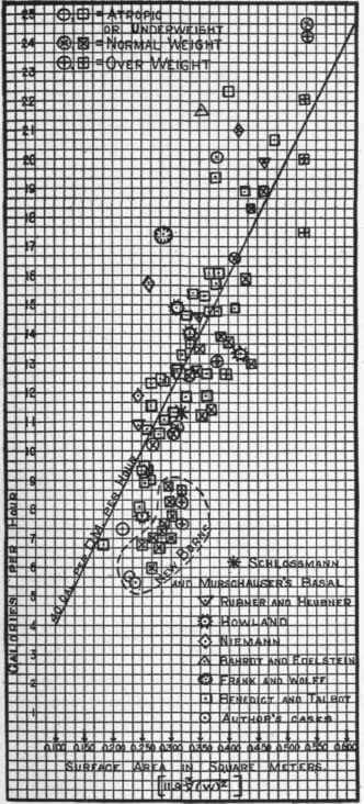 Showing relation of heat production to skin surface.