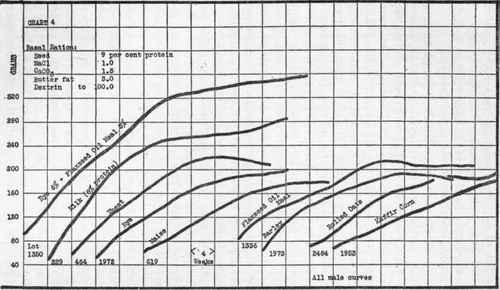 Series Of Growth Curves Of Rats