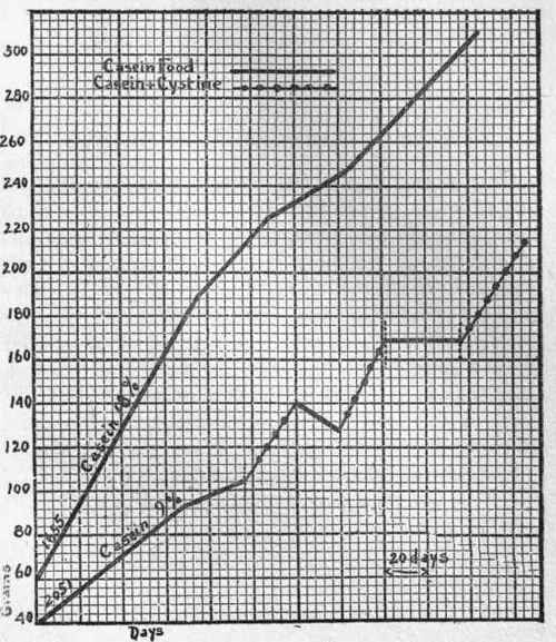 Amino Acids and Growth 3