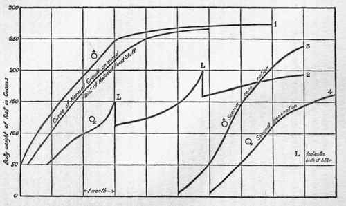 The curves illustrating this section are taken from records obtained during experiments carried out by Drummond