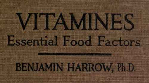 Vitamines   Essential Food Factors