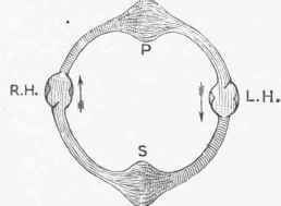 Diagram of Circulation, showing right (r. h.) and left (l. h.) hearts.