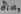 Diaphthora 2818